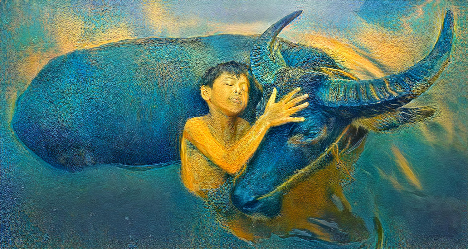 bathing of a blue ox