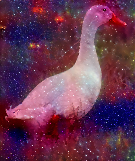 Cosmos the Duck