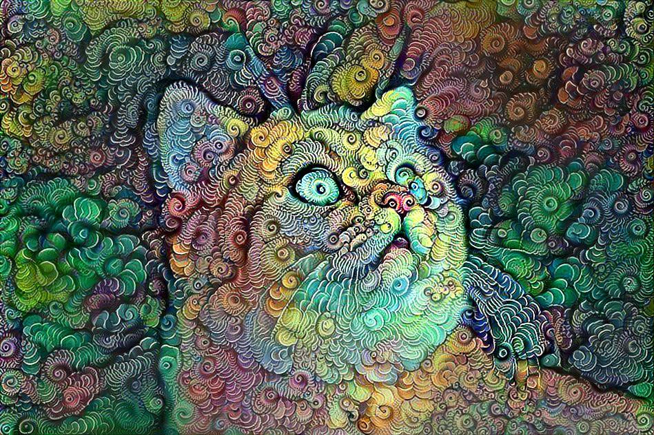 Hallucinated cat