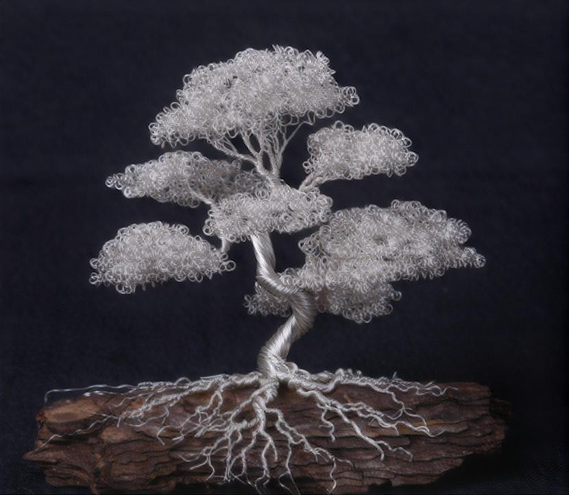 Bonsai sculpture