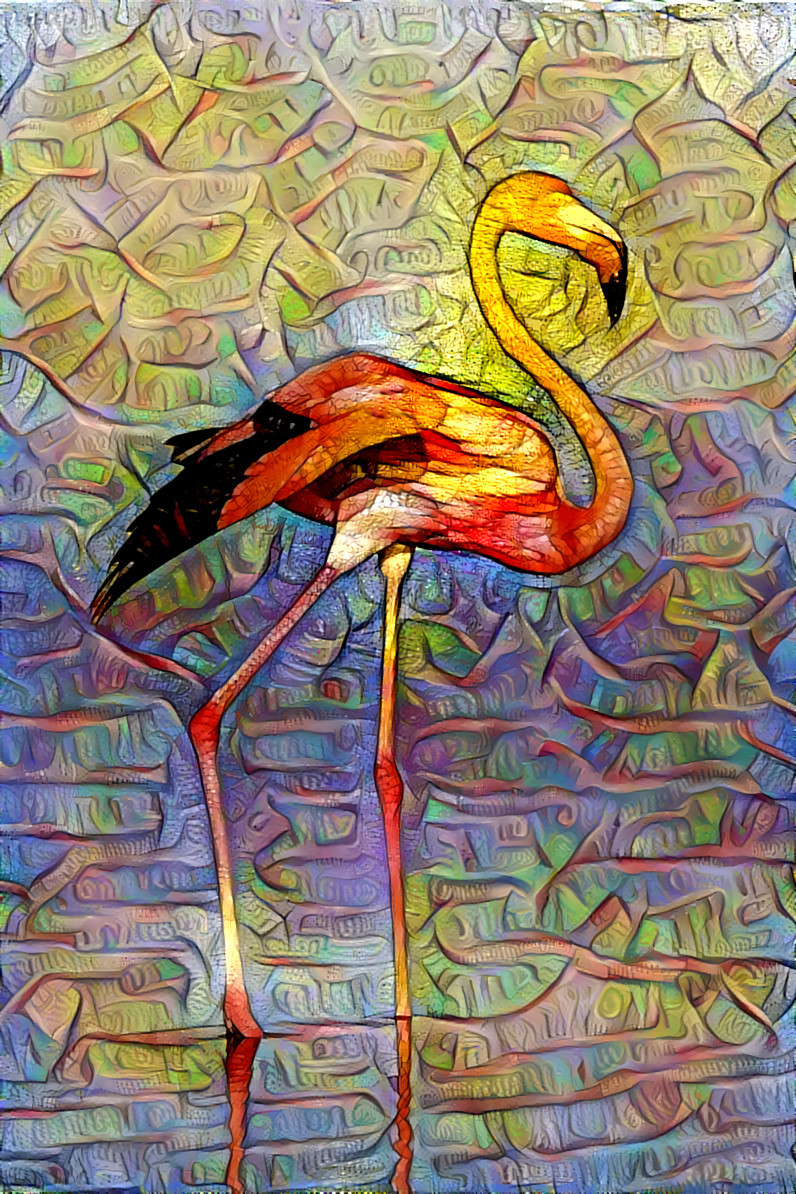 Flamingo Dream