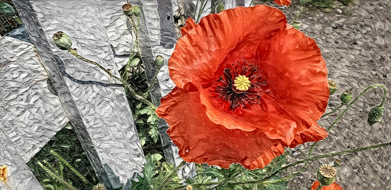 Heritage Poppy