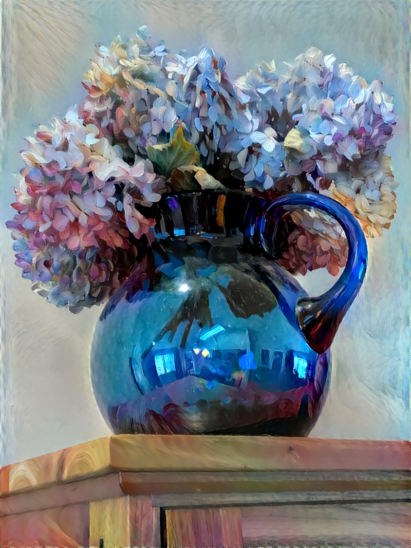 Hydrangea