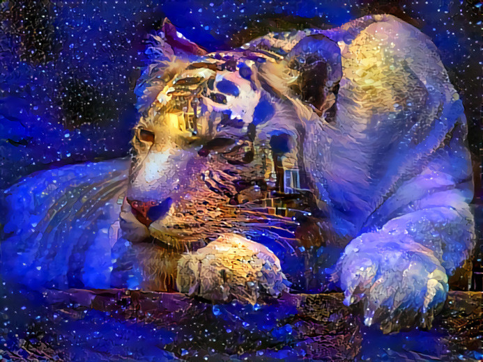 Tiger with portal