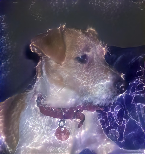 Lightning Doggo 2