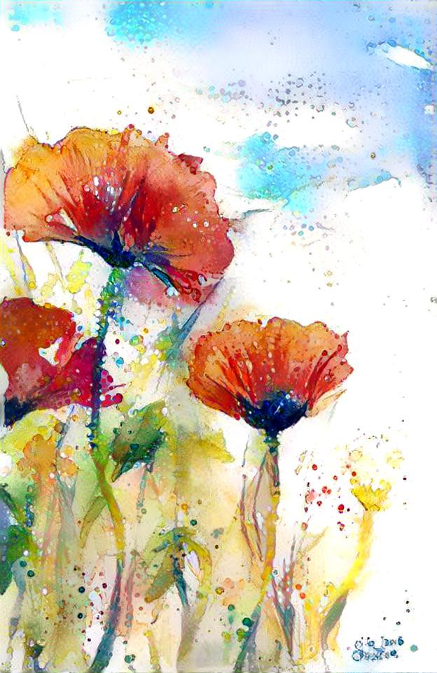 Poppies