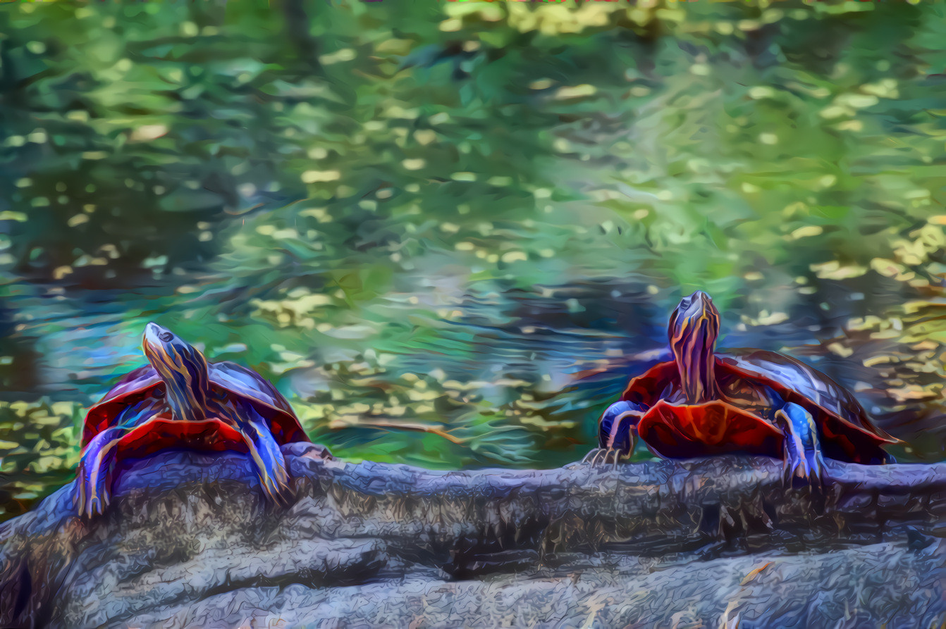 Painted Turtles