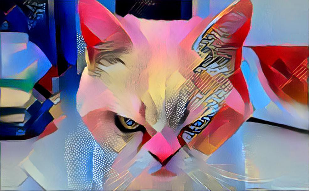 cubist cat