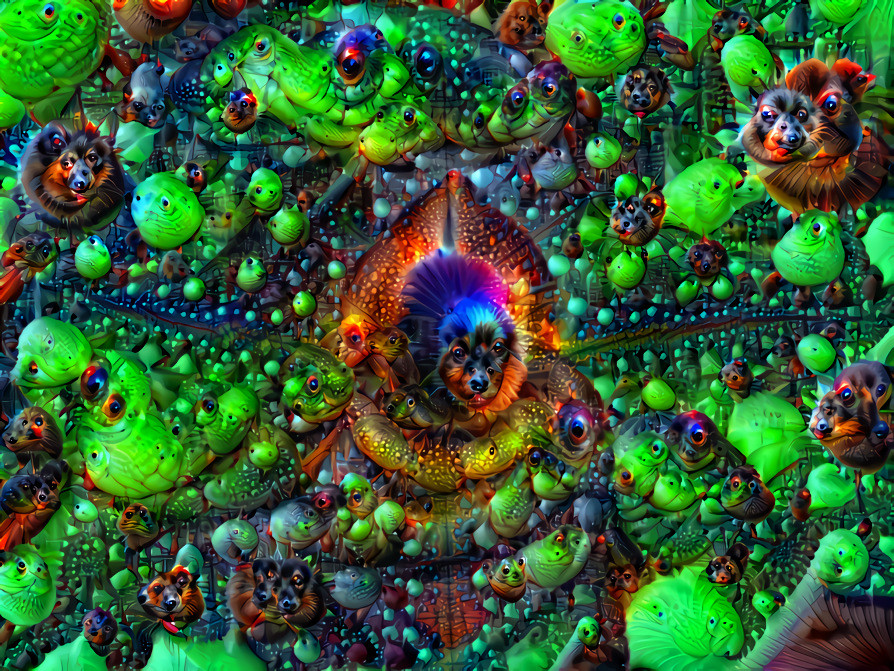 Mandelbrot Dream