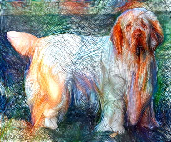 Clumber spaniel