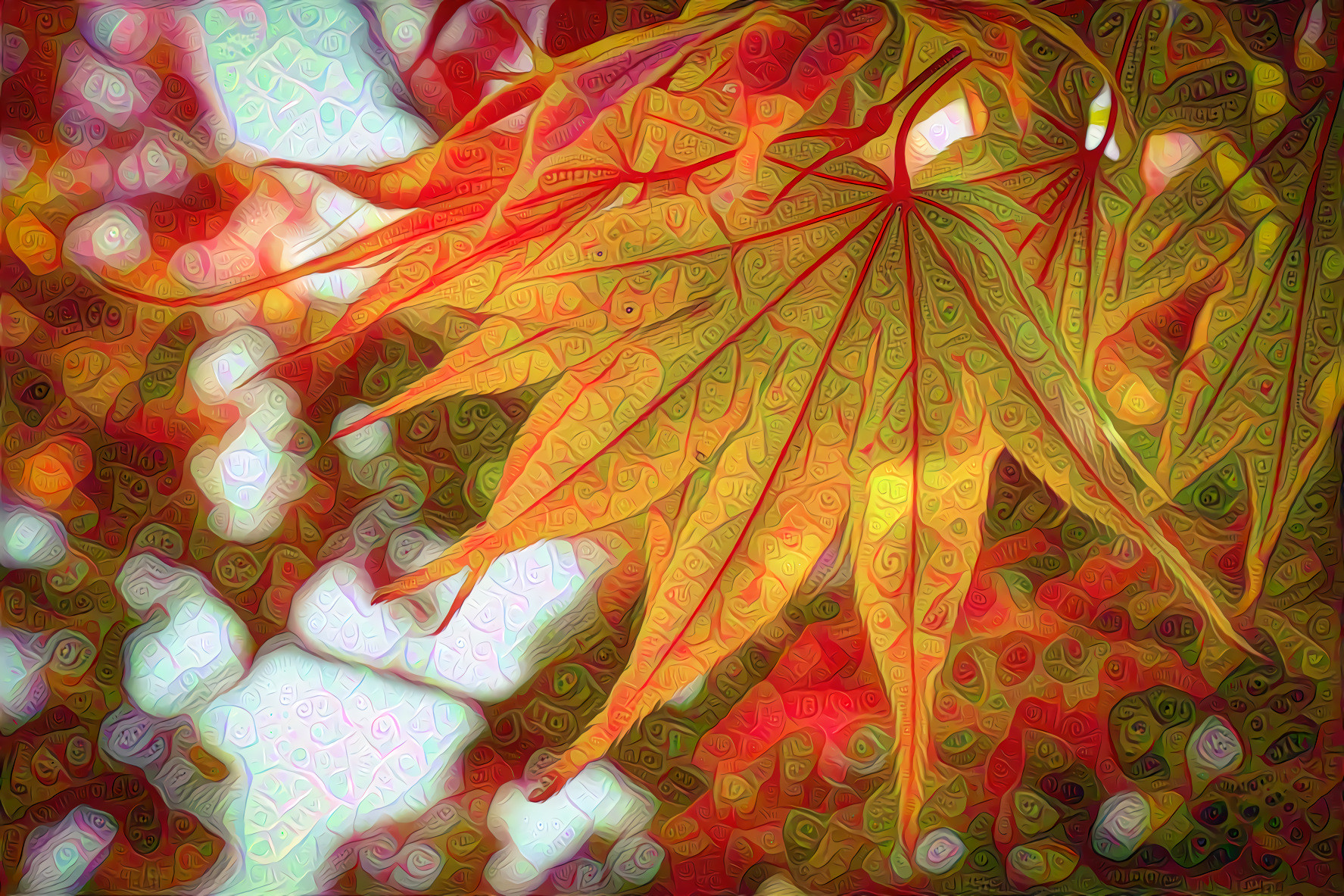 Maple Leaf, Autumn