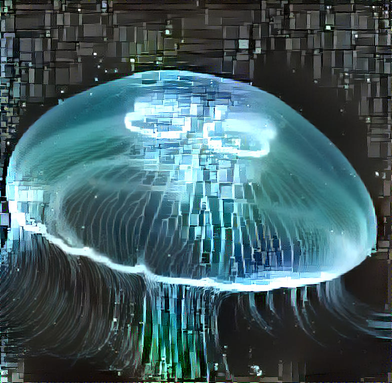 Fractal jellyfish