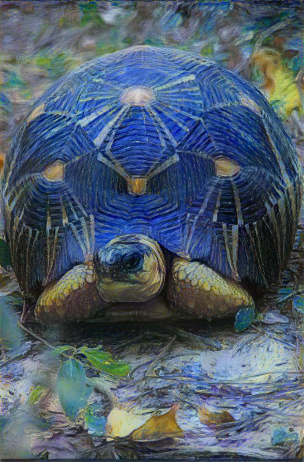 Tortoise