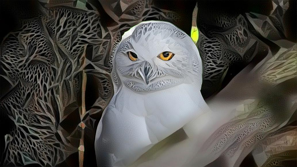 White Owl