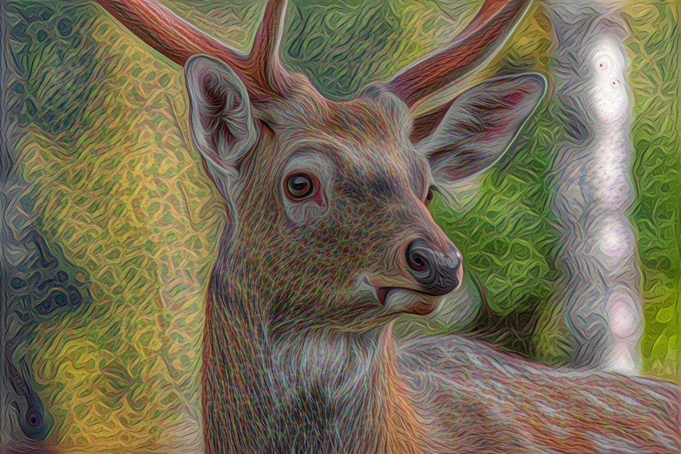 Deer Portrait