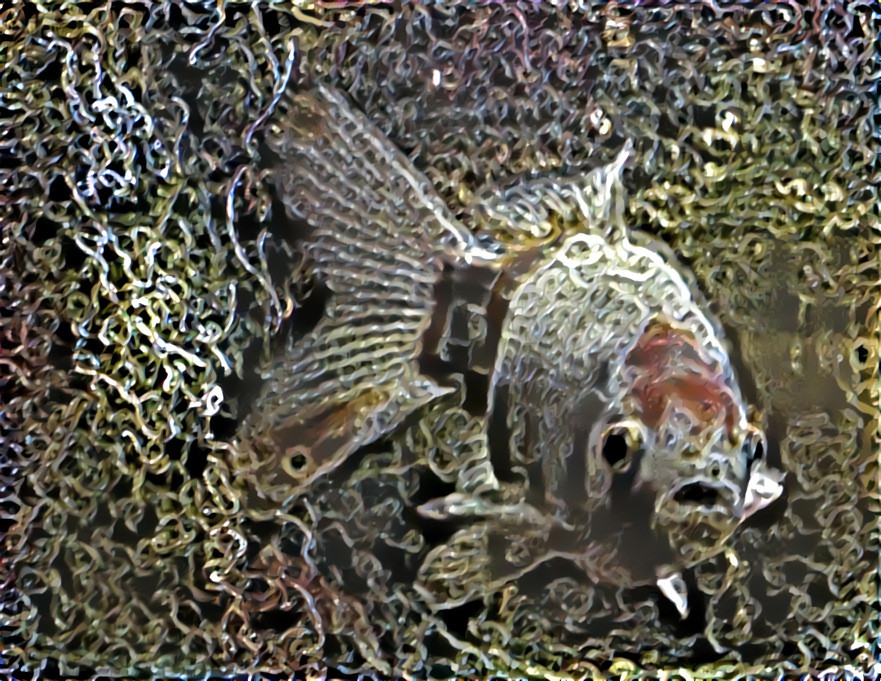 Chainlink Fish