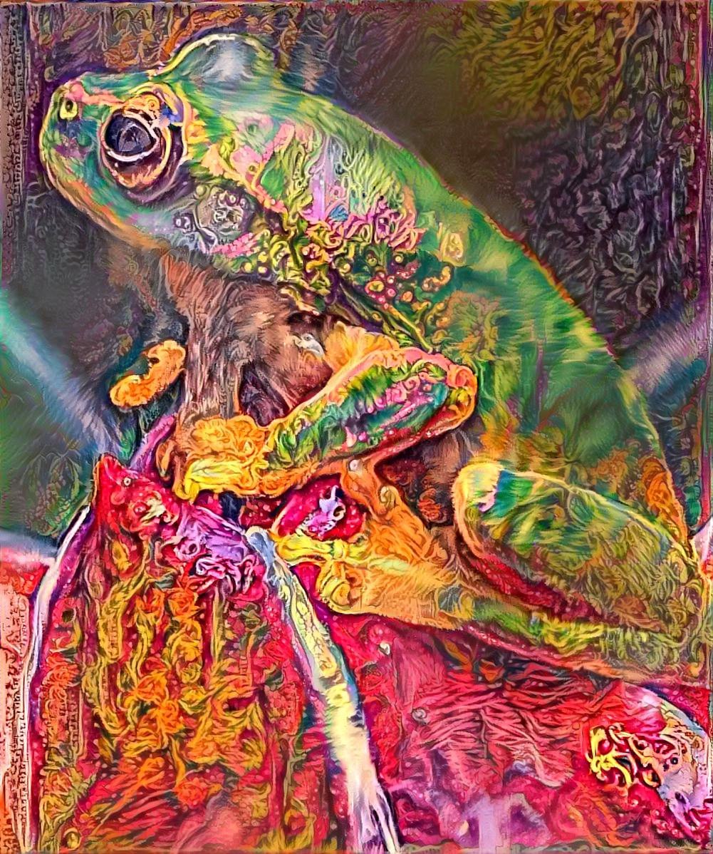 Rainbow frog