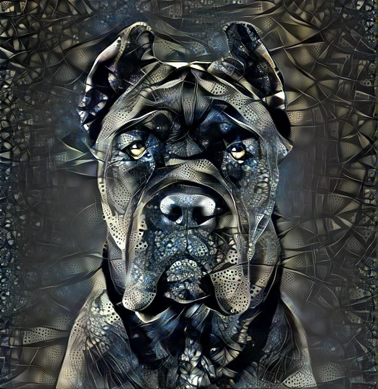 American bully