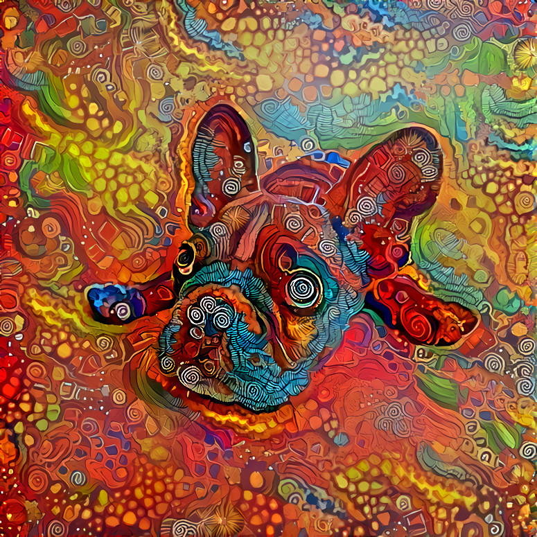 trippy dog