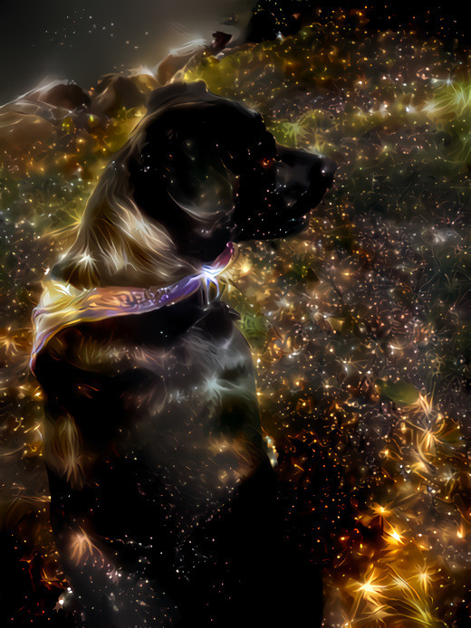 Stardog