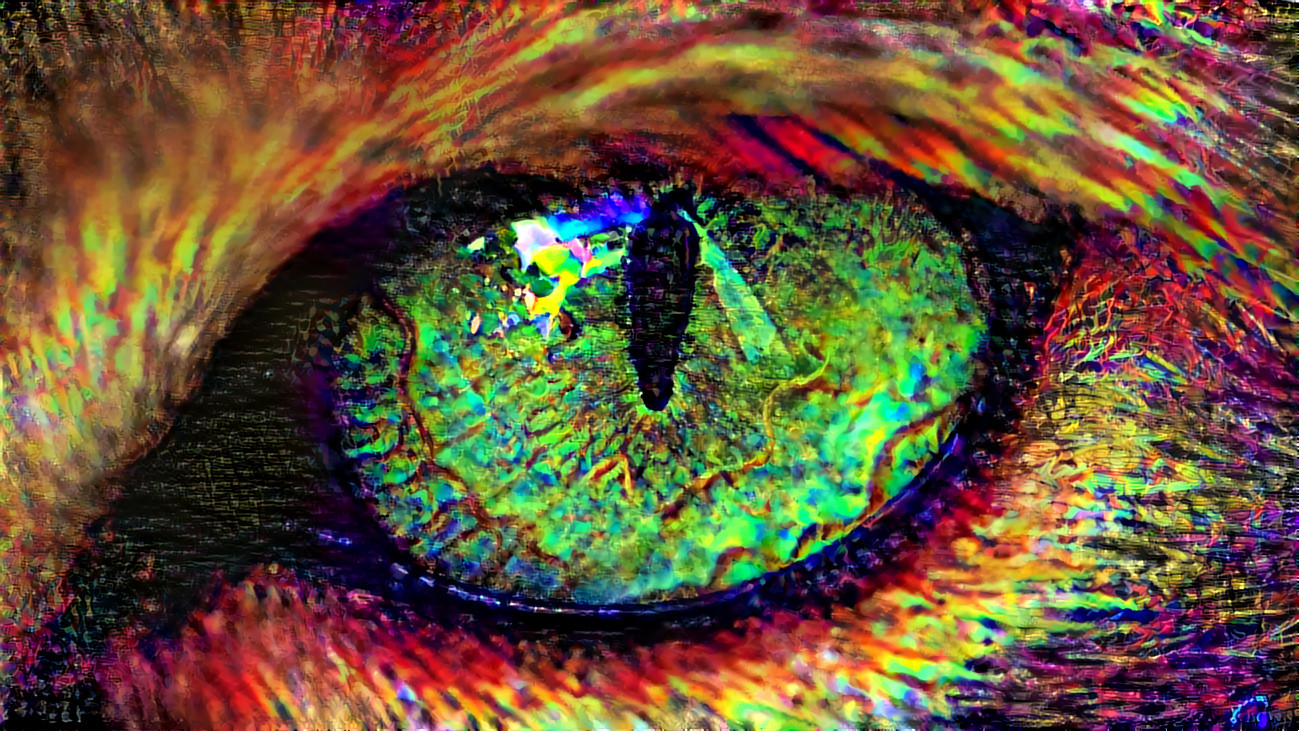 Cat-wallpaper-46 psychedelic 6