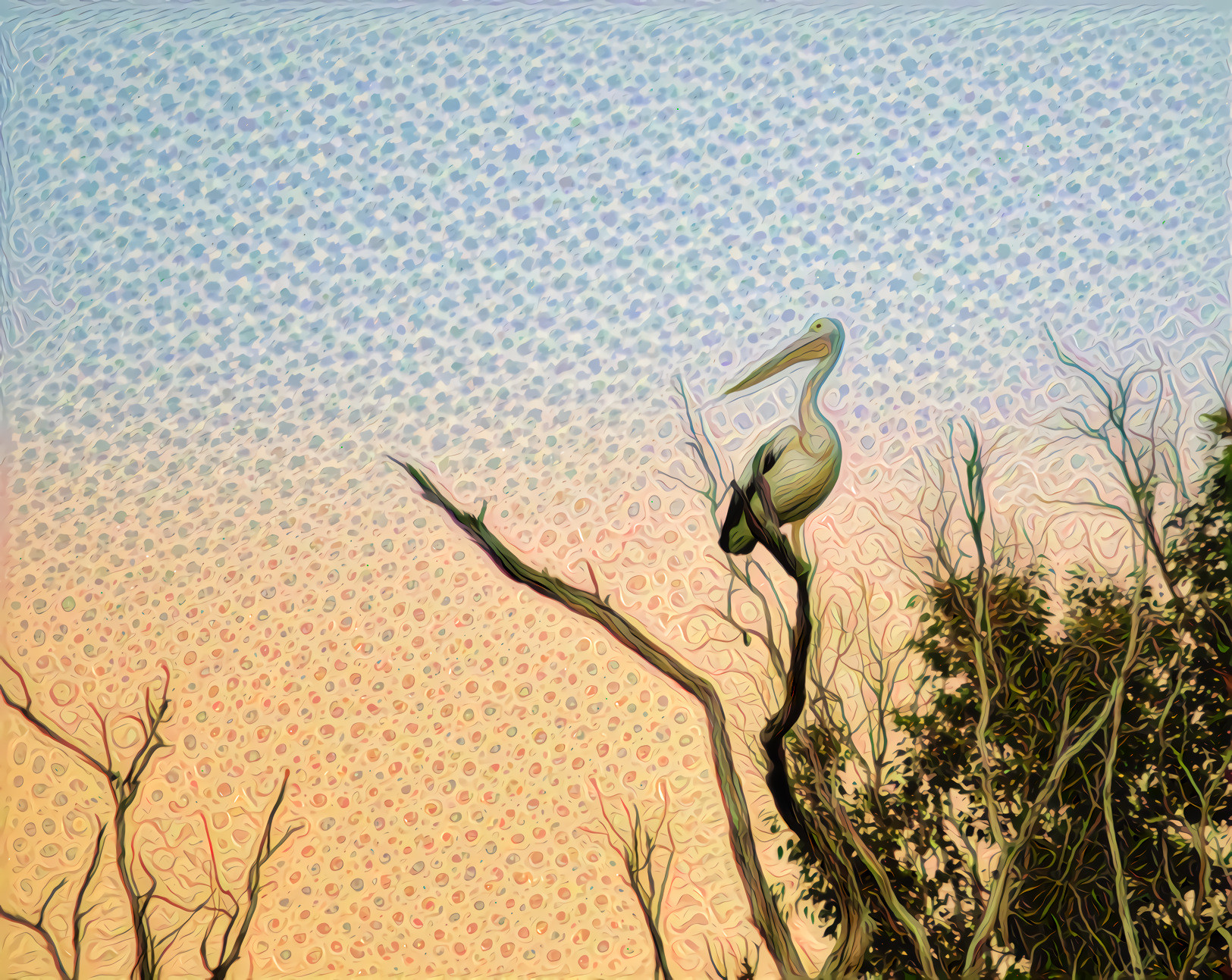 Pelican in a Tree