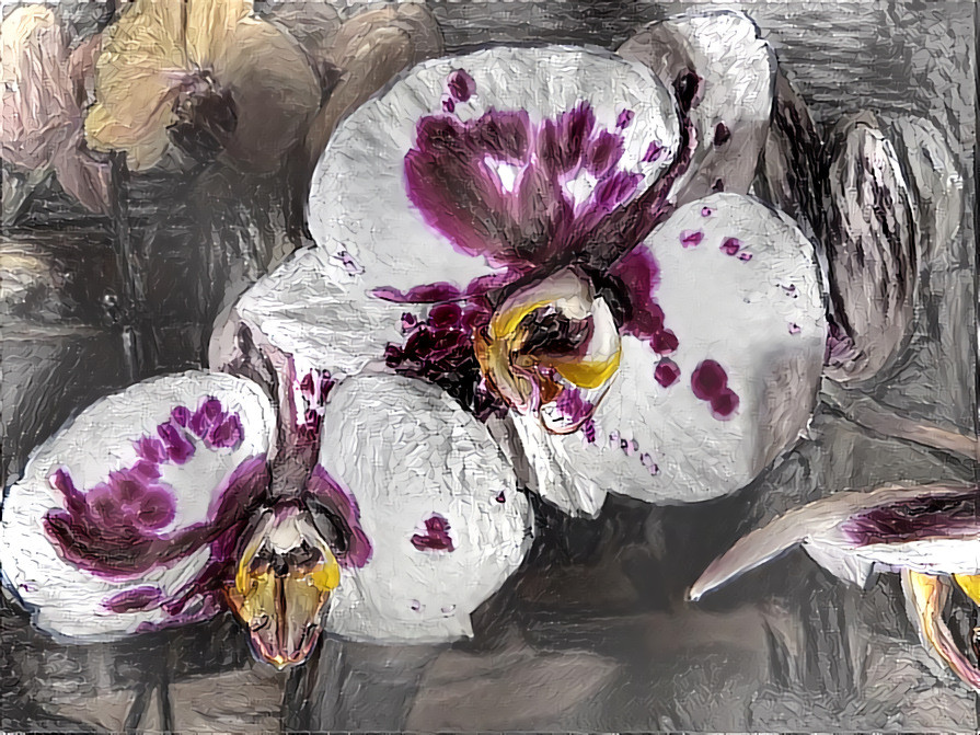 November Orchids #3