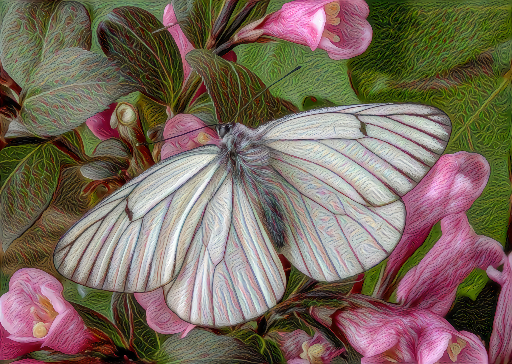 Butterfly, Fuzzy White and Gray