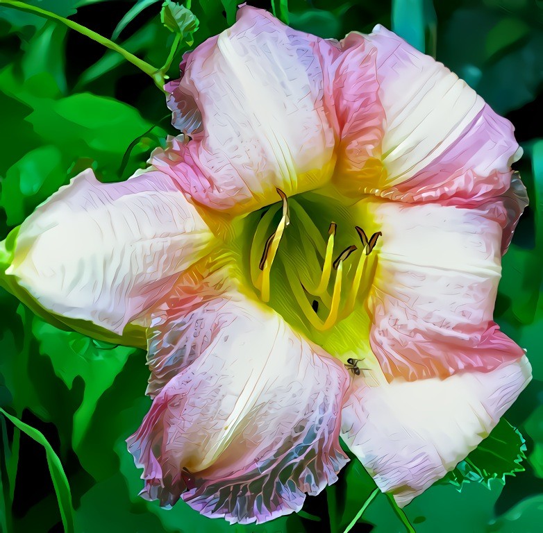 Pale Pink Daylily .... and the Ant