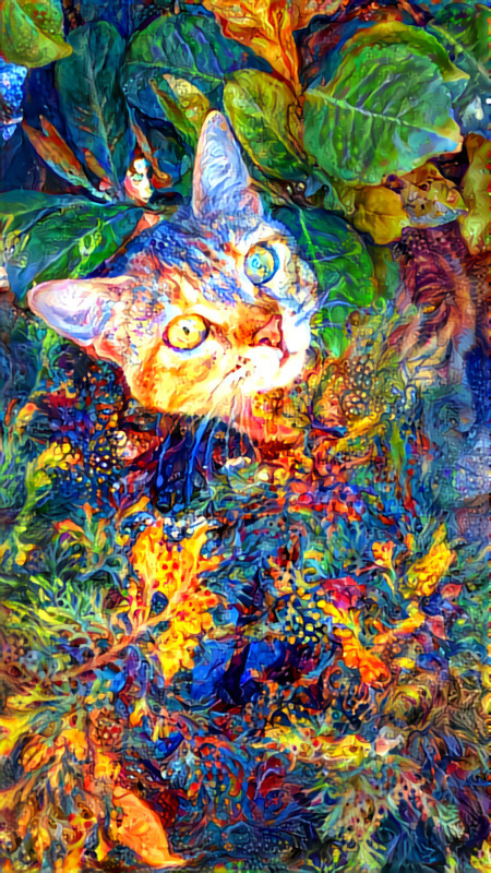 Psycatdelic