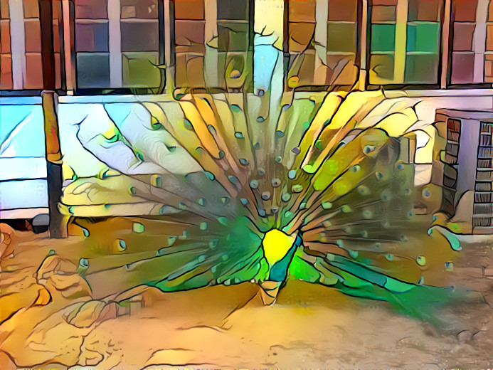 Stained Glass Peacock