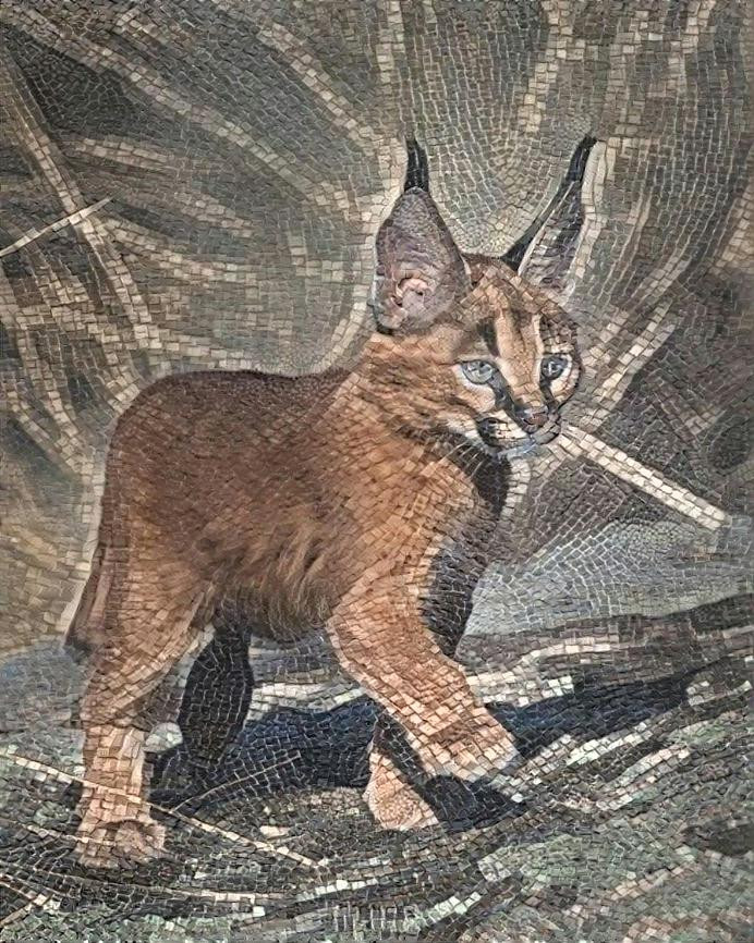 Caracal