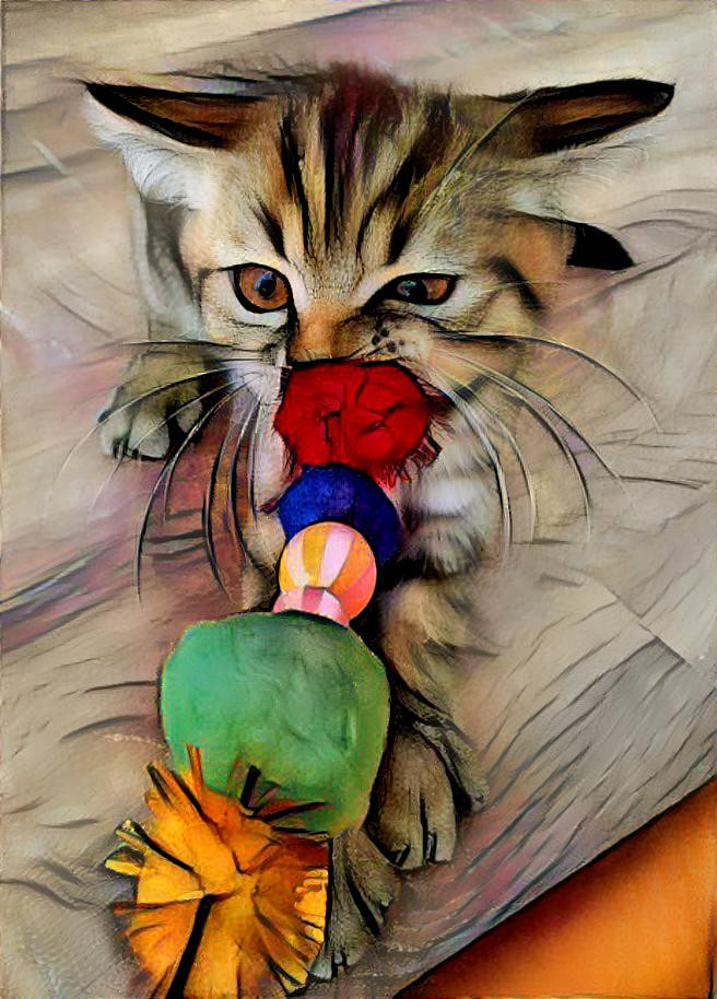 cat and toy