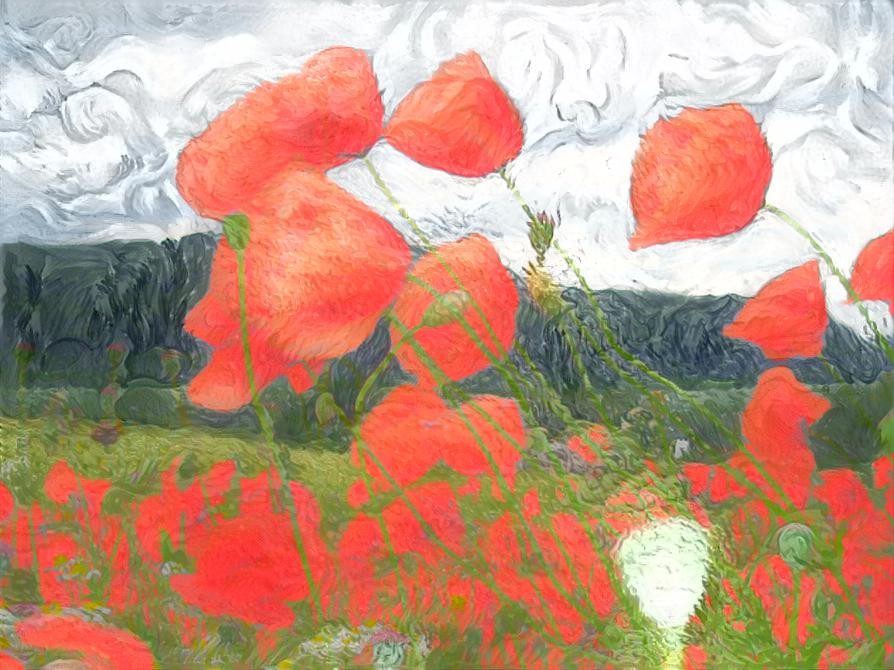 VG Poppies