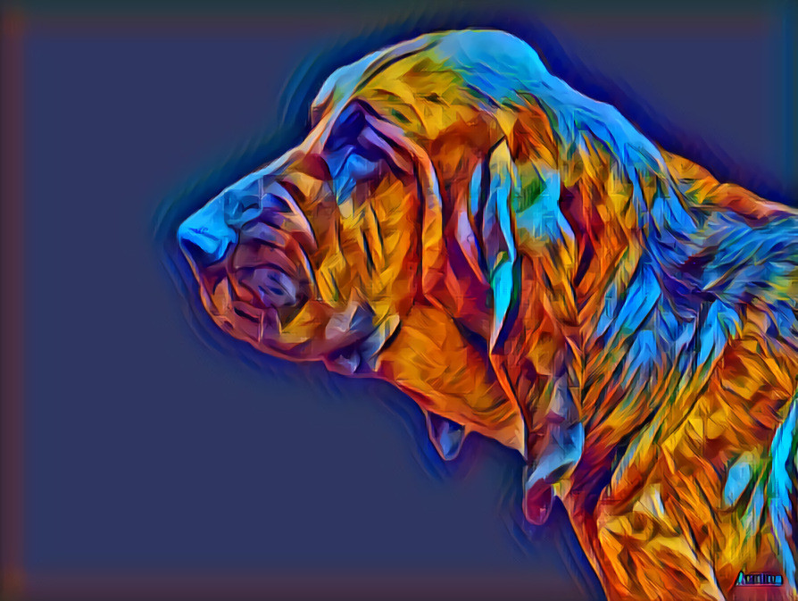 My bloodhound girl Pearleen