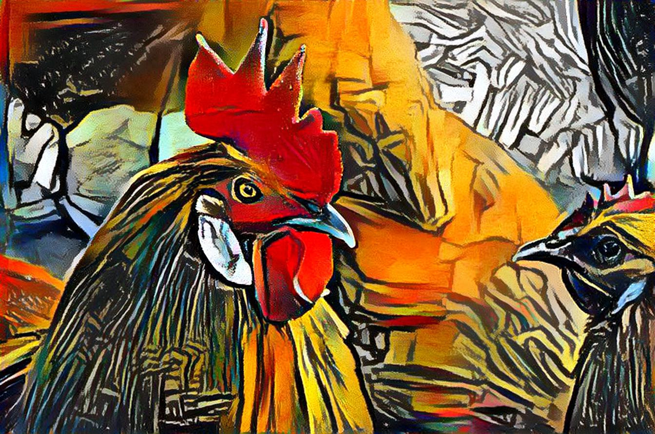 the rooster and his wife