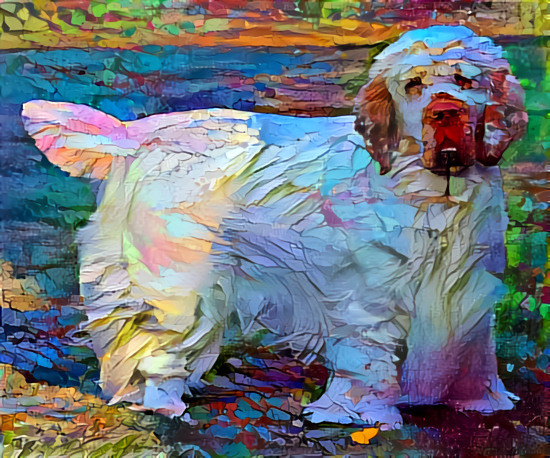 Clumber spaniel