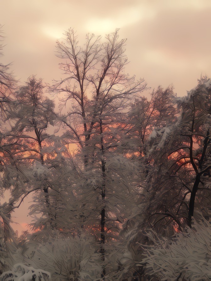 Pink skies, snowy forest