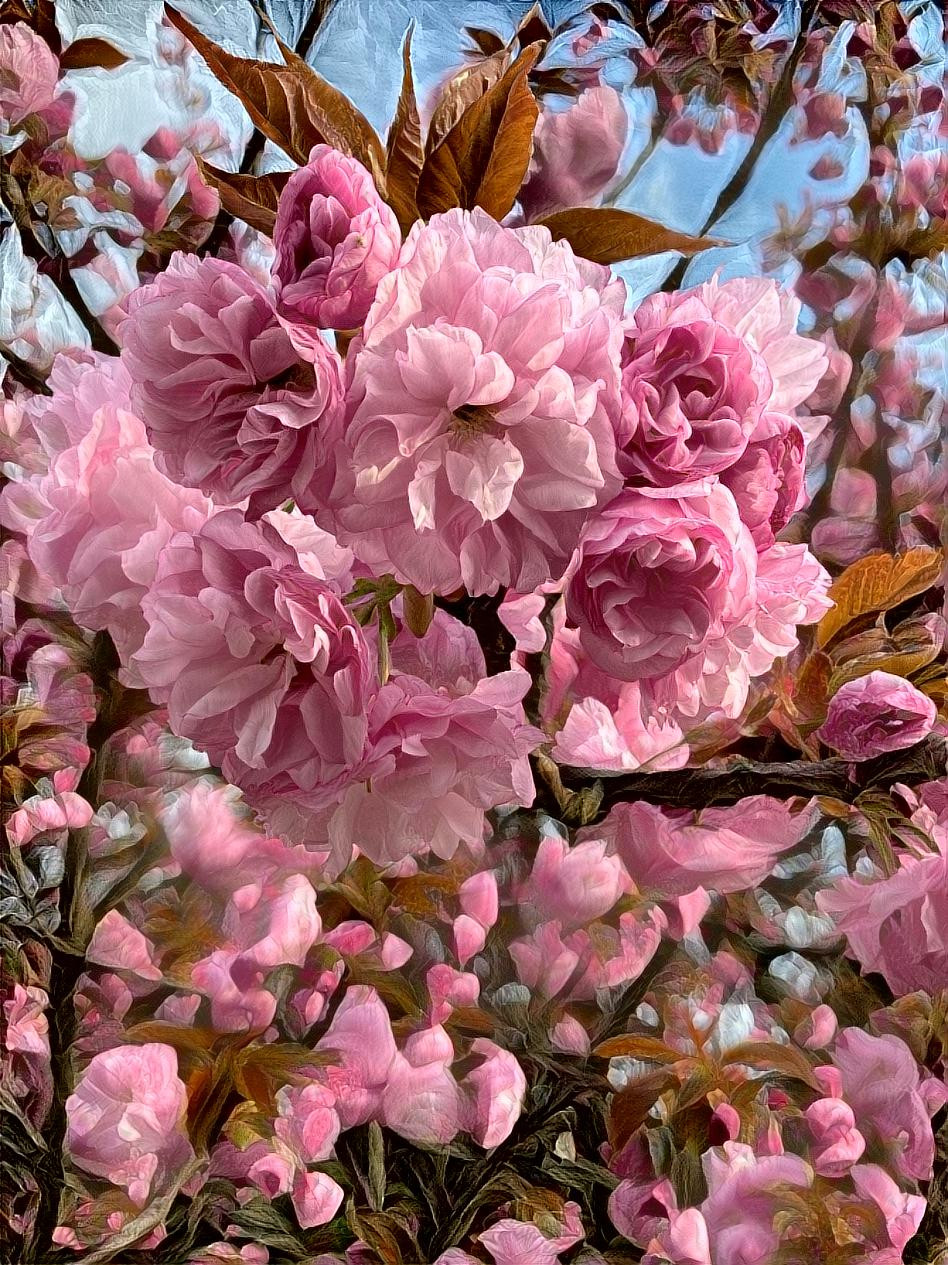 Flowering Spring Tree