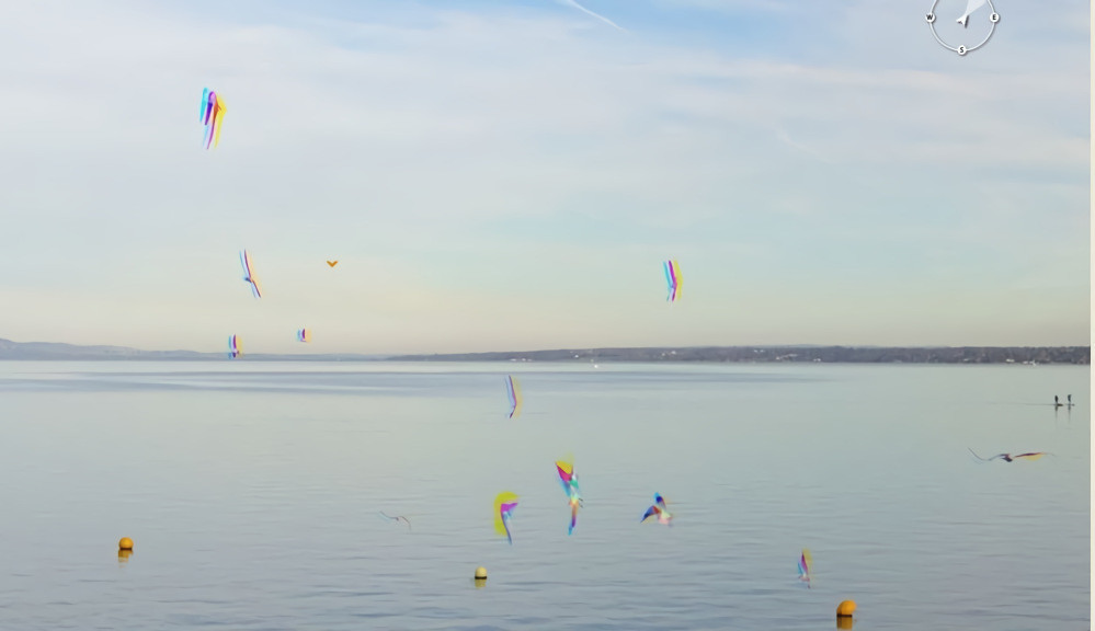 Lac Leman Webcam Geneva over CERN LHC Crazy Birds 