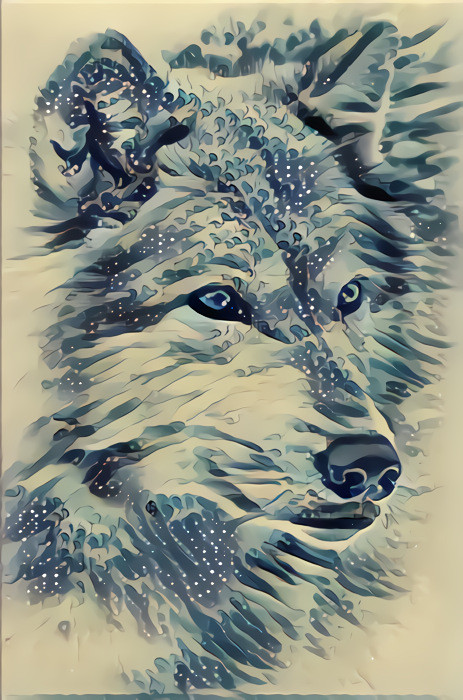 Arctic Wolf