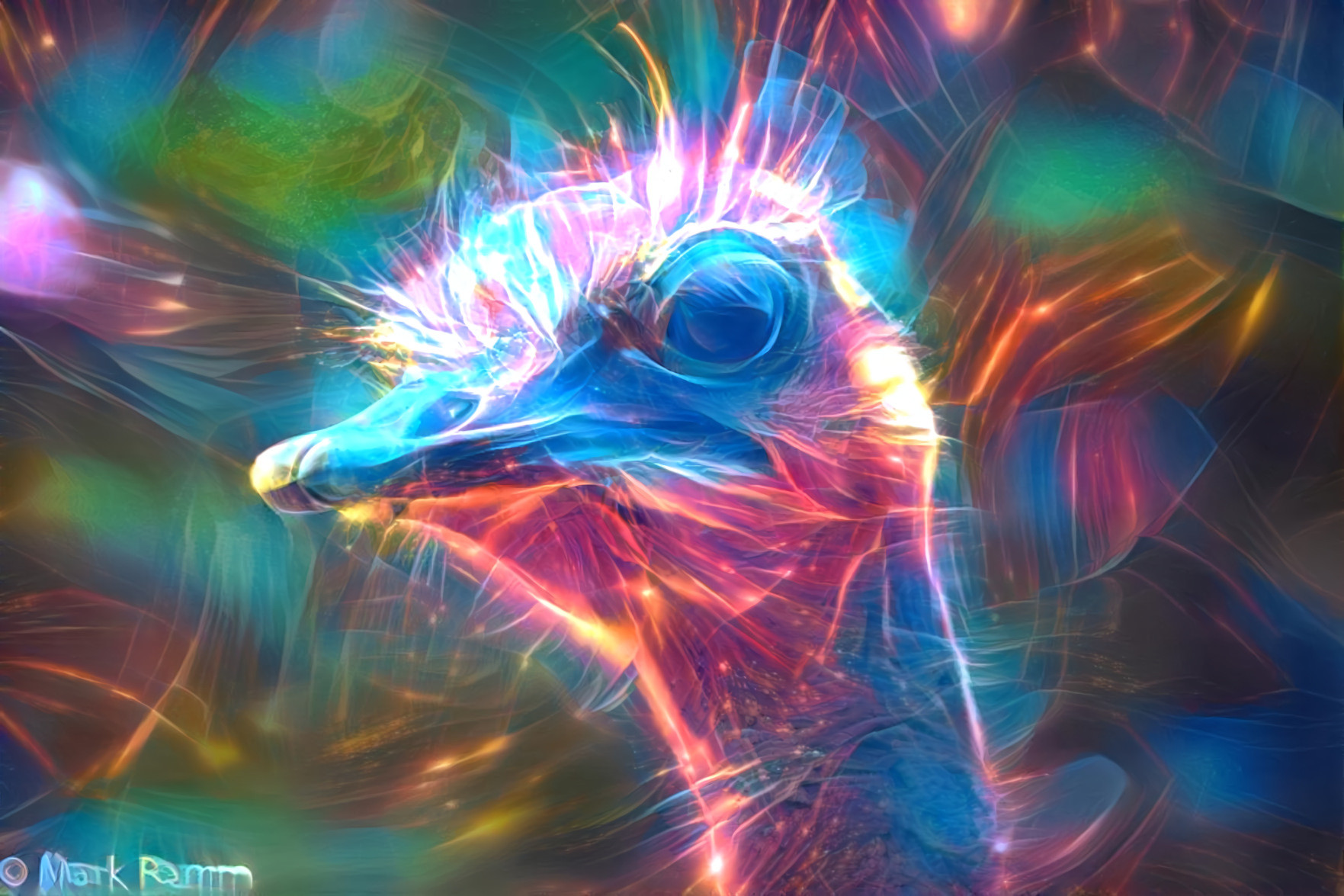 Cosmic Ostrich 