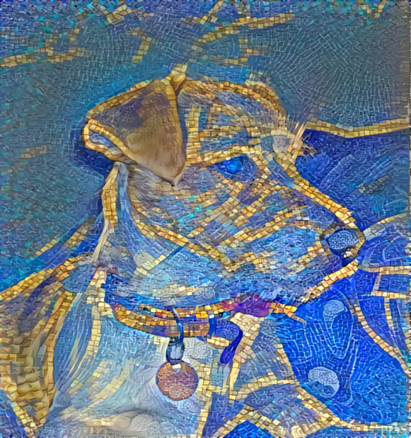 Mosaic Doggo