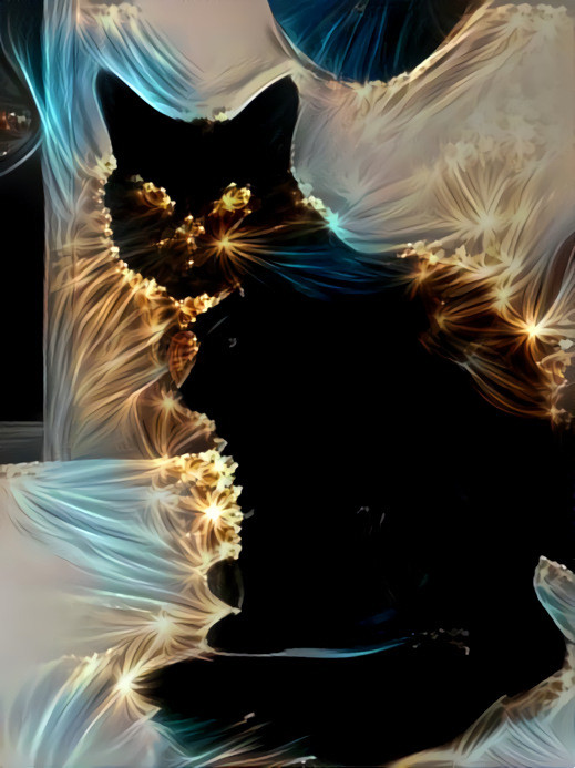 Cosmic Chat Noir