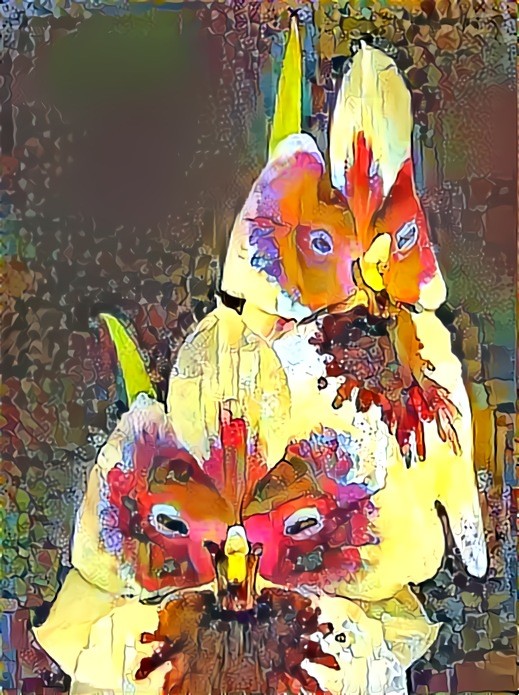 Flowers imitating Owls