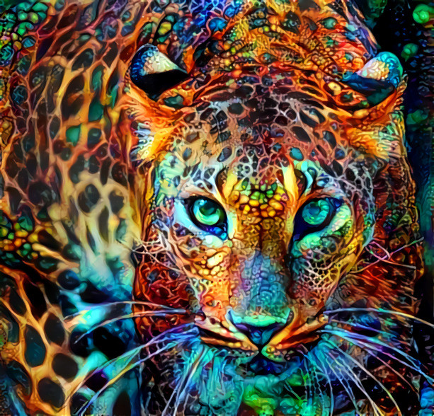 Leopard 