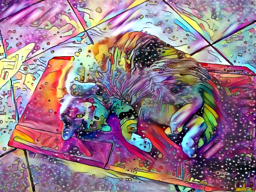 Space Cat