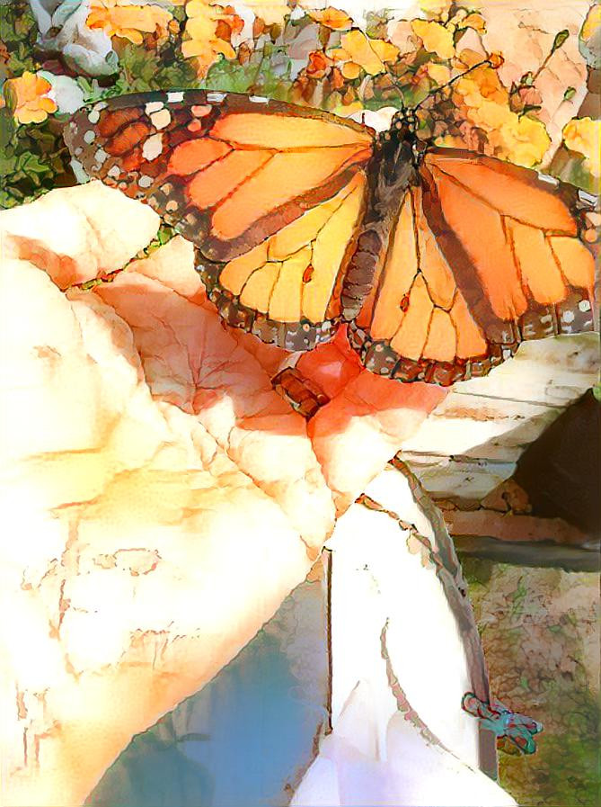 Monarch Love...