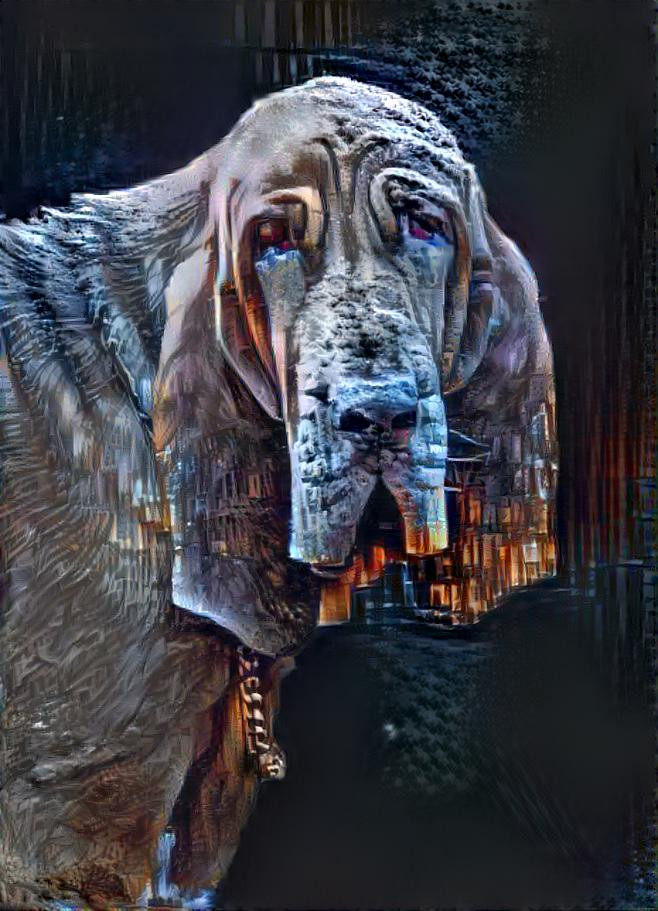 My bloodhound girl Iranda