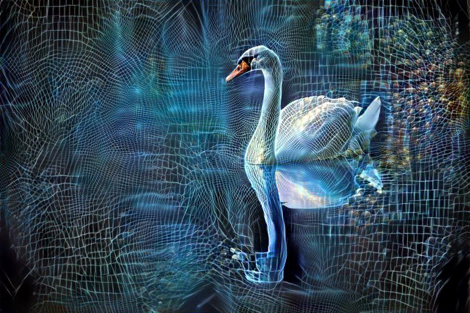 Reflections of a Swan